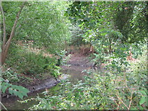 TQ3774 : The River Ravensbourne in Ladywell Fields (3) by Mike Quinn