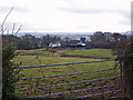 Looking towards Gooseford