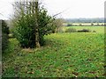 View north-west from Hailstone Hill, near Cricklade