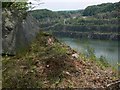 Granite boulder at Whitwick Quarry