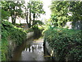 The River Ravensbourne south of Catford Road, SE6 (4)