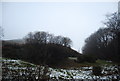 Valley side, Carding Mill Valley