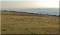 Mendip Hills: View from southern edge towards Glastonbury Tor