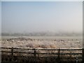 J0301 : Hoar frost on rough ground between the M1 and the railway north of Commons, Co Louth by Eric Jones