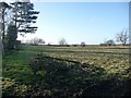 Field to the north of Langbaurgh Grange