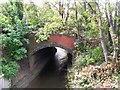 Bridge over the River Ravensbourne, Randlesdown Road, SE6