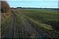 Arable land and Longdon Hill