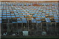 Greenhouses near Wickhamford