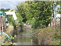 The River Ravensbourne north of Franthorne Way, SE6