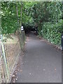 Path from Horsham Park to Hurst Road