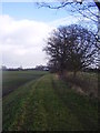 Approaching Eskholme