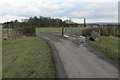 Cattle grid near Langar