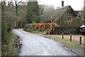 Hawthorn, nr East Tisted, Hampshire