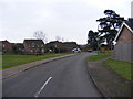 TM3289 : Milestone Lane, Earsham by Geographer