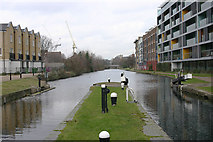 TQ3682 : Regent's Park Canal by David Kemp