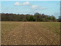 Footpath 99 (near) or 603 (far) towards Alderstead Heath