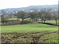 View across the Axe valley