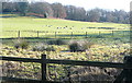 SU7760 : Farmland near Eversley by Graham Horn