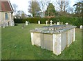 St Peter, Linchmere: churchyard (5)