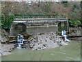 Storm drains in the south bank of the Avon New Cut