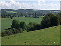 Water meadows by the R Thames at Bourne End