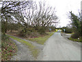 The road to Westleton Common, south-east of the village