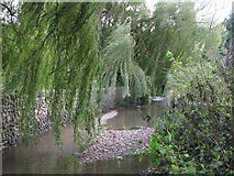 TQ3870 : The River Ravensbourne west of Calmont Road, BR1 by Mike Quinn
