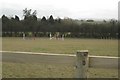 Plastic jumps in a paddock, Hardwick Rise