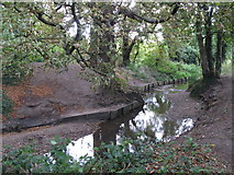 TQ3870 : The River Ravensbourne west of Calmont Road, BR1 (3) by Mike Quinn