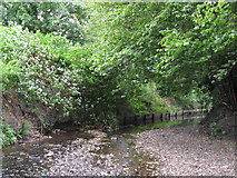 TQ3870 : The River Ravensbourne west of Calmont Road, BR1 (6) by Mike Quinn
