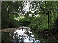 The River Ravensbourne west of Calmont Road, BR1 (11)