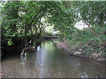 TQ3870 : The River Ravensbourne west of Calmont Road, BR1 (13) by Mike Quinn