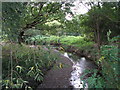 The River Ravensbourne south of Brangbourne Road, BR1 (2)