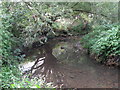 The River Ravensbourne south of Brangbourne Road, BR1 (3)