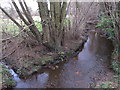 The Bourne stream at Beldam Bridge