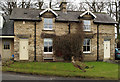 Semi-detached houses in Corbridge