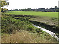 The River Ravensbourne - Downham Branch, north of Farmfield Road, BR1