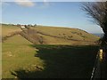 Southdown from Woodhuish Lane