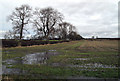 Corner of  field - waterlogged