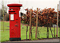 Pillar box, Carrickfergus