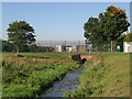 The River Ravensbourne - Downham Branch, east of Glenbow Road, BR1 (2)