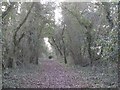 Bridleway southwest of Bearley