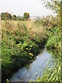 The River Ravensbourne - Downham Branch, west of Valeswood Road, BR1 (2)