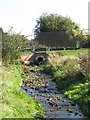 The River Ravensbourne - Downham Branch, west of Valeswood Road, BR1 (3)