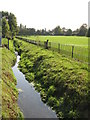 The River Ravensbourne - Downham Branch, Shaftesbury Park (2)