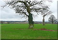 Footpath to Chesham