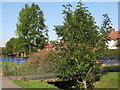 Footbridge over the River Ravensbourne - Downham Branch, Shaftesbury Park