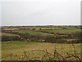 Small fields near Boswyn