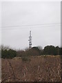 The transmitter mast on Carnmenellis