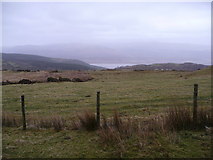 SN6598 : Part of the Dyfi estuary viewed from near Carn March Arthur by Jeremy Bolwell
